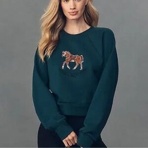 Anthropology Maeve Dark Green Crew neck with Embroidery